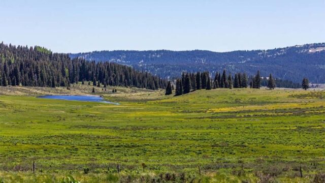 Bar 5 Ranch - Corder and Associates, LLC