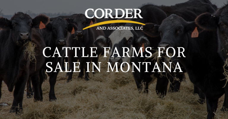 Cattle Farms For Sale In Montana