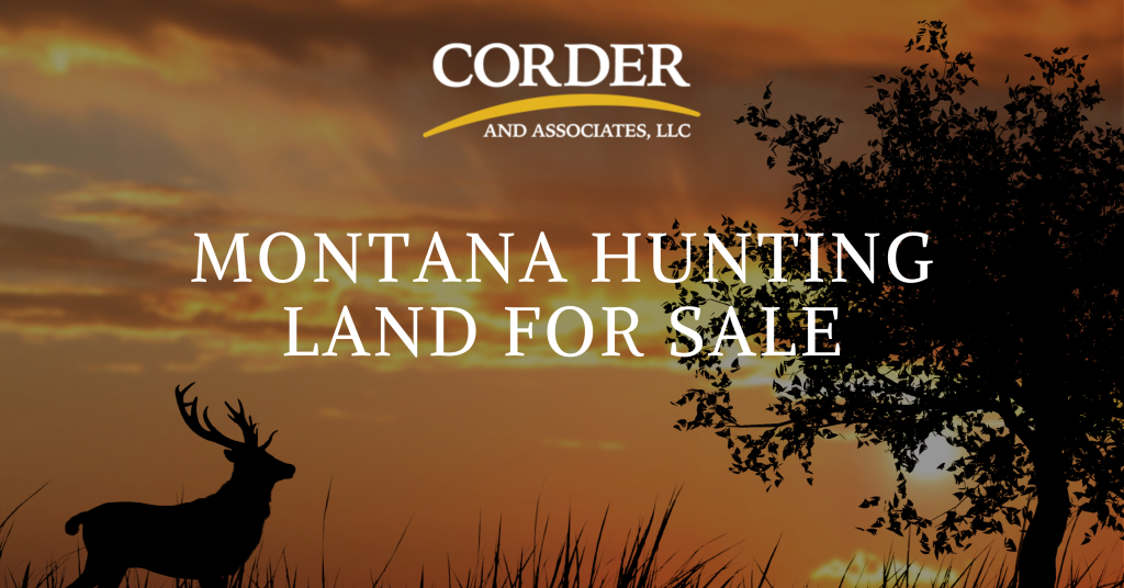 A graphic displaying the blog title of Montana Hunting Land For Sale