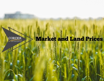 Markets and Land Prices