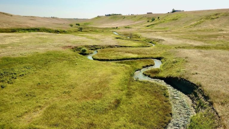 Irrigated Fort Shaw Farm