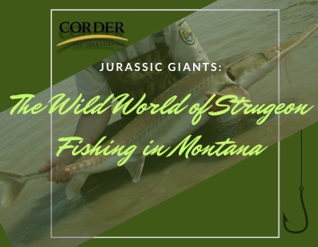 Jurassic Giants