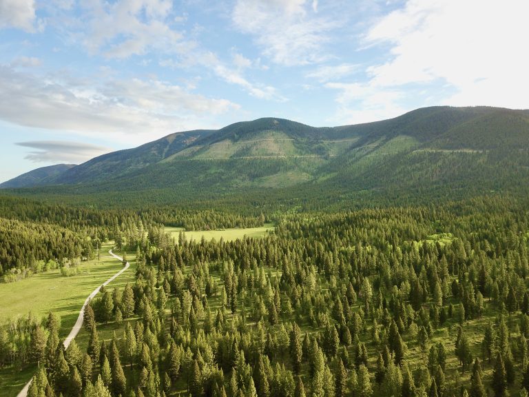 Prairie Road Mountain Vistas