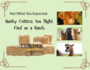 Graphics for Articles - 1
