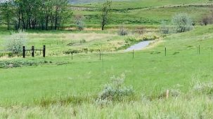 Adeline Acres Recreational Haven Blk 3 Lt 1