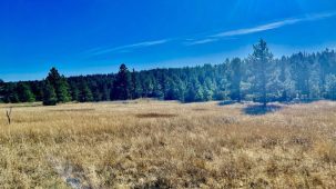 Build In Bull Mountain Parks