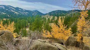 Calming Clancy Creek Camp 1