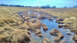 Fertile Farm and Hunting Land