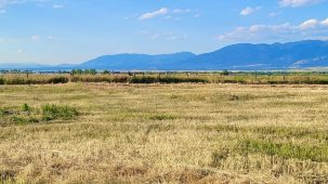 Golden Willow Estates Lot 4A
