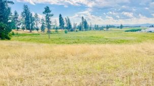 MIssion Valley Acreage