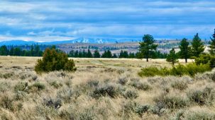 Peaceful Prairie Butte Road