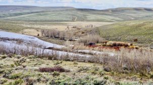 Secluded Wyoming Splendor
