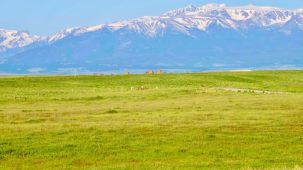 Shane Creek Recreational Retreat