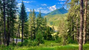 The Timbers at Thompson Ranch Lot 5