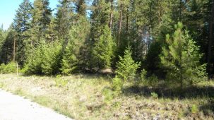 Tobacco Bay Estates Lot