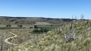 Yellowstone River Ranch Lot