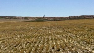 sold-aquifers-and-acres