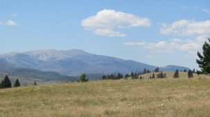 sold-bugling-bull-ranch