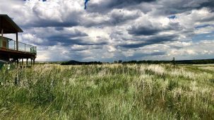 sold-development-opportunity-in-great-falls