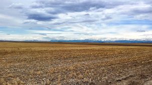 sold-front-range-farm