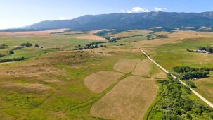 sold-hogan-creek-acres