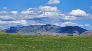 sold-irrigated-alfalfa-acreage