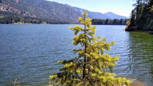 sold-lakes-at-heron