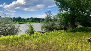 sold-lower-river-road-lot-12a