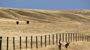 sold-montana-investment-rec-ranch