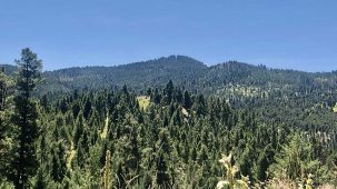sold-off-grid-elk-camp