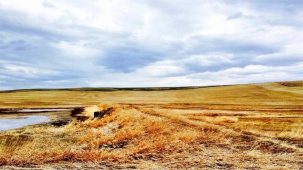 sold-pendroy-farm
