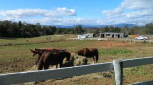 sold-peoples-creek-farm