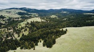 sold-perkins-creek