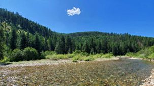 sold-perspective-on-prospect-creek
