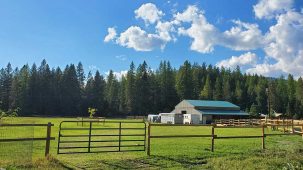 sold-premier-horse-property