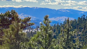 sold-priceless-panorama-views