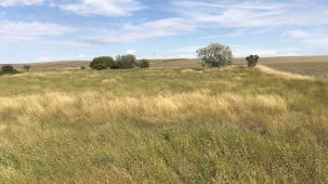 sold-roosevelt-county-productive-investment