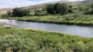 sold-smith-river-seclusion