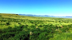 sold-sportsman-income-paradise