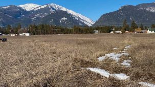 sold-supreme-stevensville-acreage