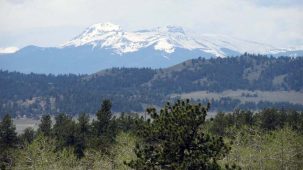 sold-teton-golden-acres