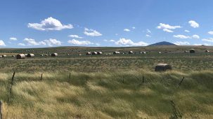 sold-tiger-butte-ranch