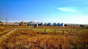 sold-tordik-wildlife-farm