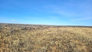 sold-wide-open-spaces