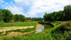 sold-yellowstone-irrigated-farm-hunting-ranch