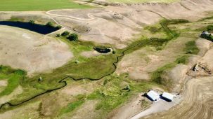 Fort Shaw